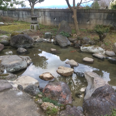 池の水漏れ補修画像1