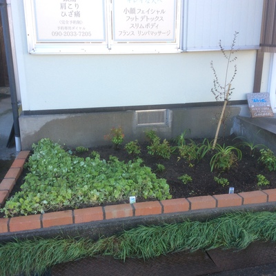 お店の花壇をリニューアル画像1